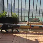 Cardboard Cat Scratcher Sofa for Scratching & Lounging with Two-Seater Design – gallery image 2