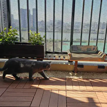 f93d7394-c263-4ee9-a8d8-0cb89bf7f3d6