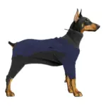 Dog Bodysuit for Warmth & Shedding Control with Contrast Color Design – gallery image 2