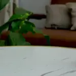 Natural Rubber Dog Toy for Chewing & Interactive Play with Textured Surface – gallery image 10