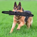 Durable Dog Bite Stick for Chewing & Tug Play with Dual Handles – gallery image 6