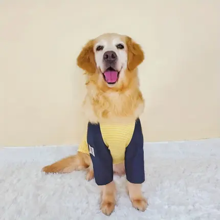 fb5b3fac-da54-4c5a-94e2-8badd683b5c5