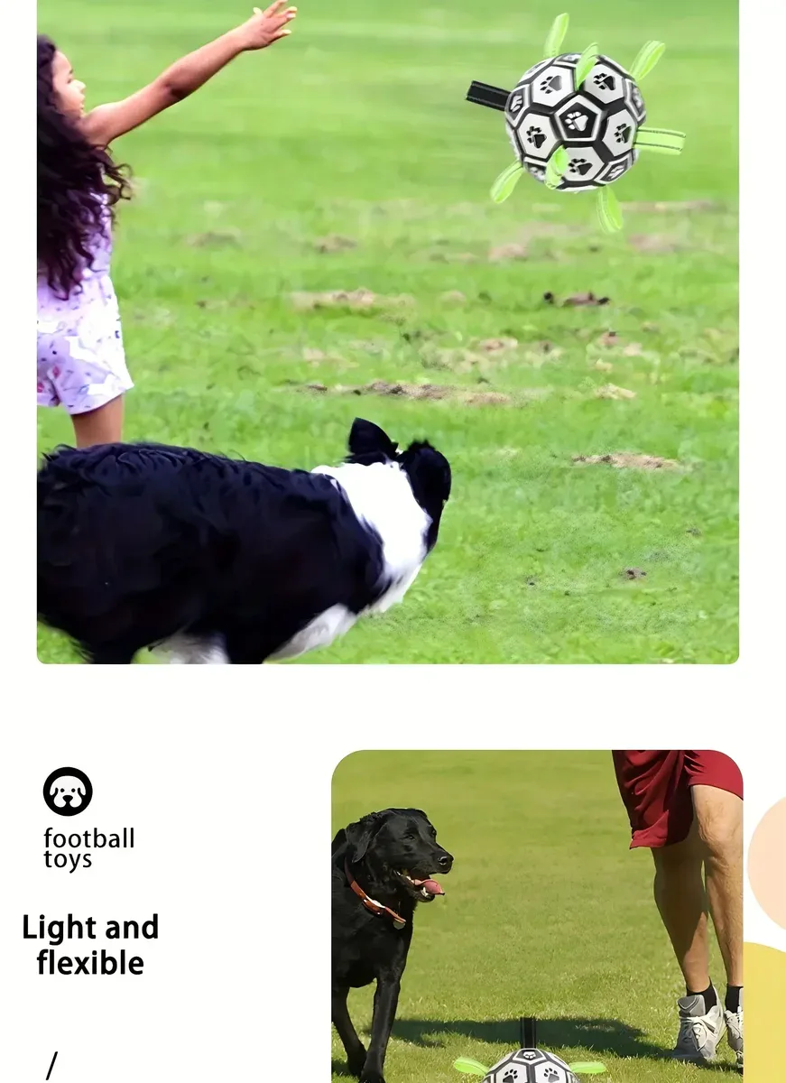 Chew-Resistant Bouncy Dog Toy for Fetch & Interactive Play – description image 9