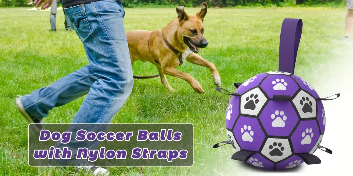 Durable Rubber Dog Soccer Ball with Straps for Interactive Play & Fetch – description image 1