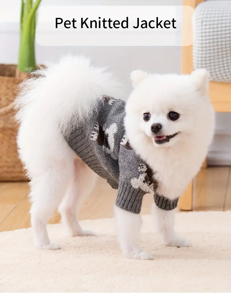 Bear Print Knitted Cardigan for Pets for Warmth in Cooler Weather – description image 1