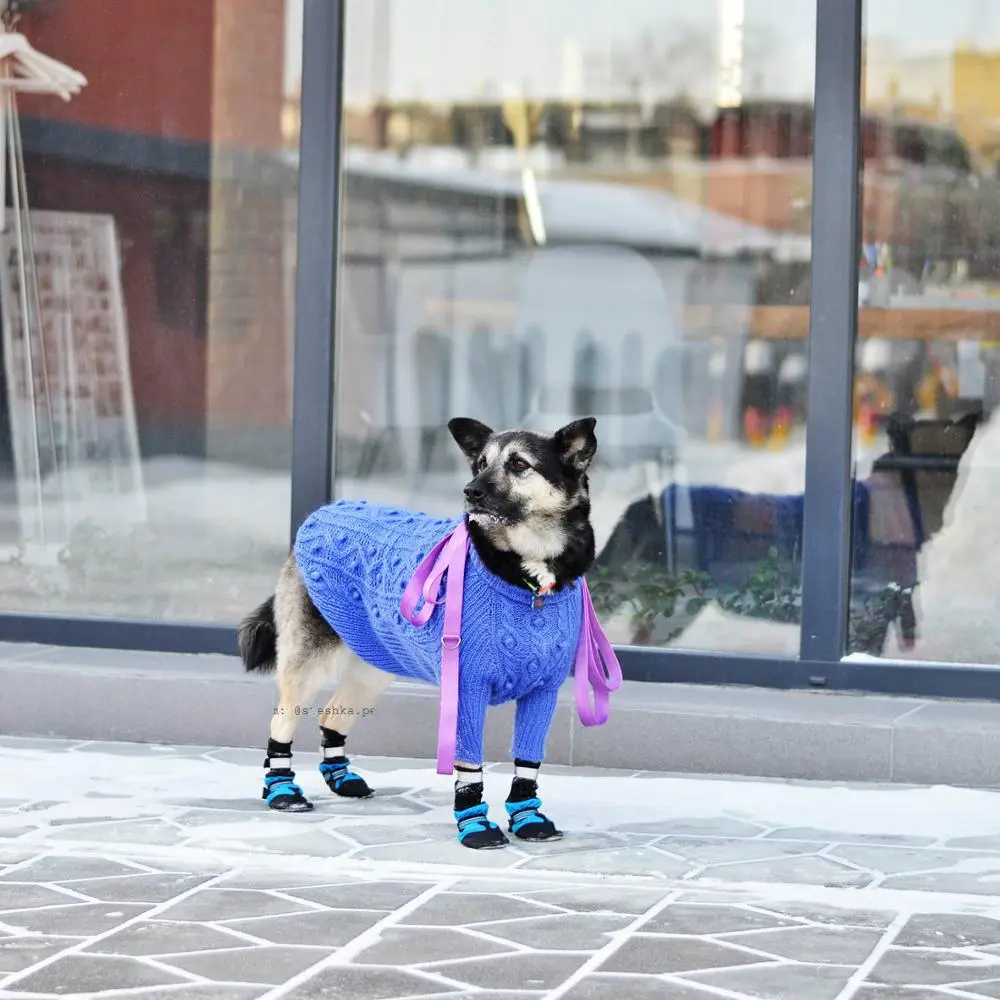 Waterproof Dog Shoes for Outdoor Walking & Paw Protection with Non-Slip Soft Sole – description image 8