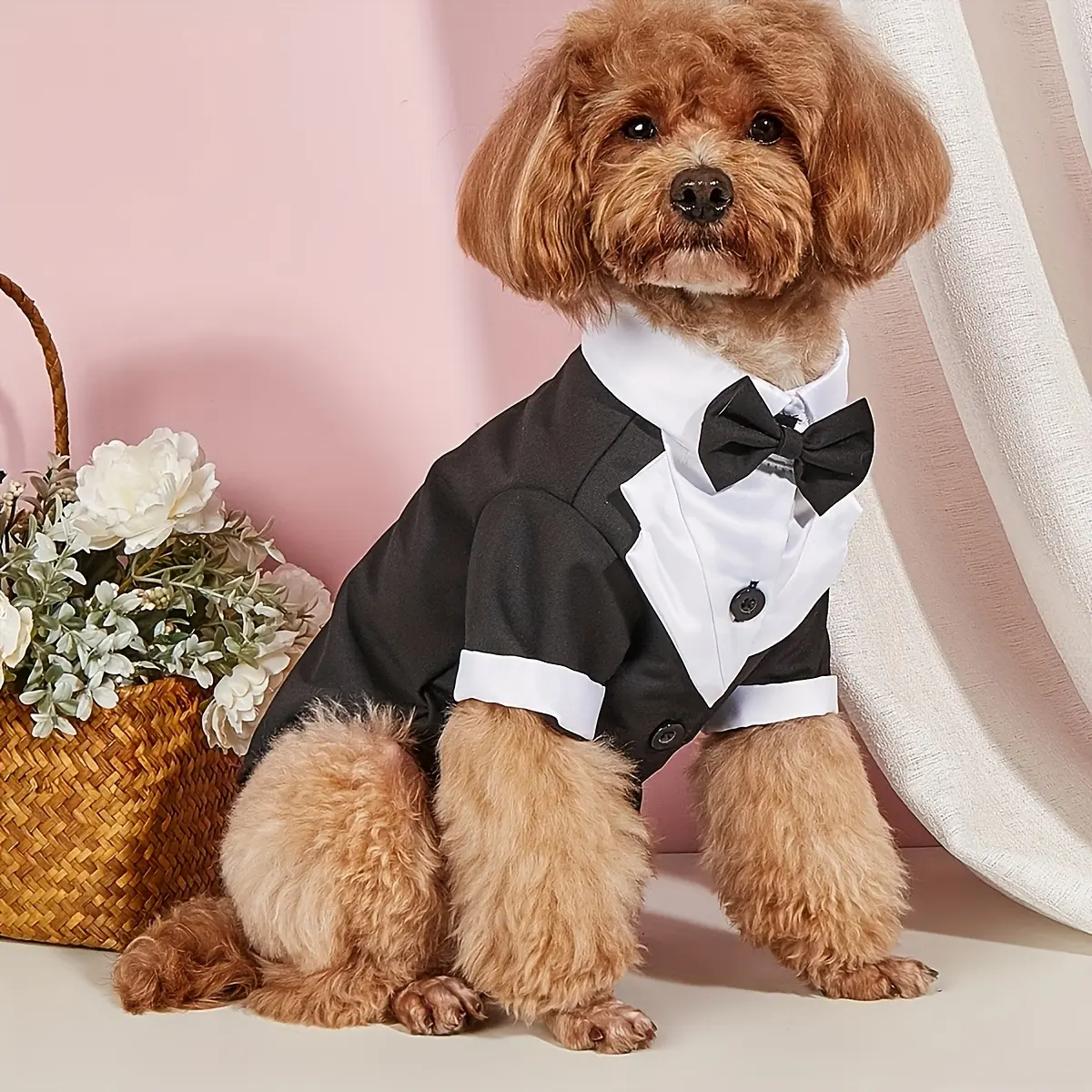 Pet Formal Shirt for Small Dogs with Bow Tie Detail – description image 1