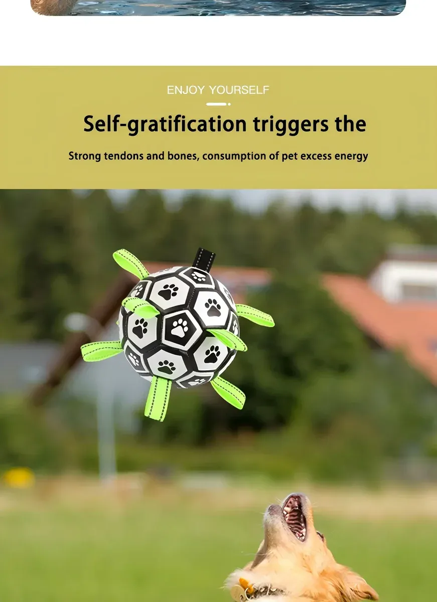 Chew-Resistant Bouncy Dog Toy for Fetch & Interactive Play – description image 4