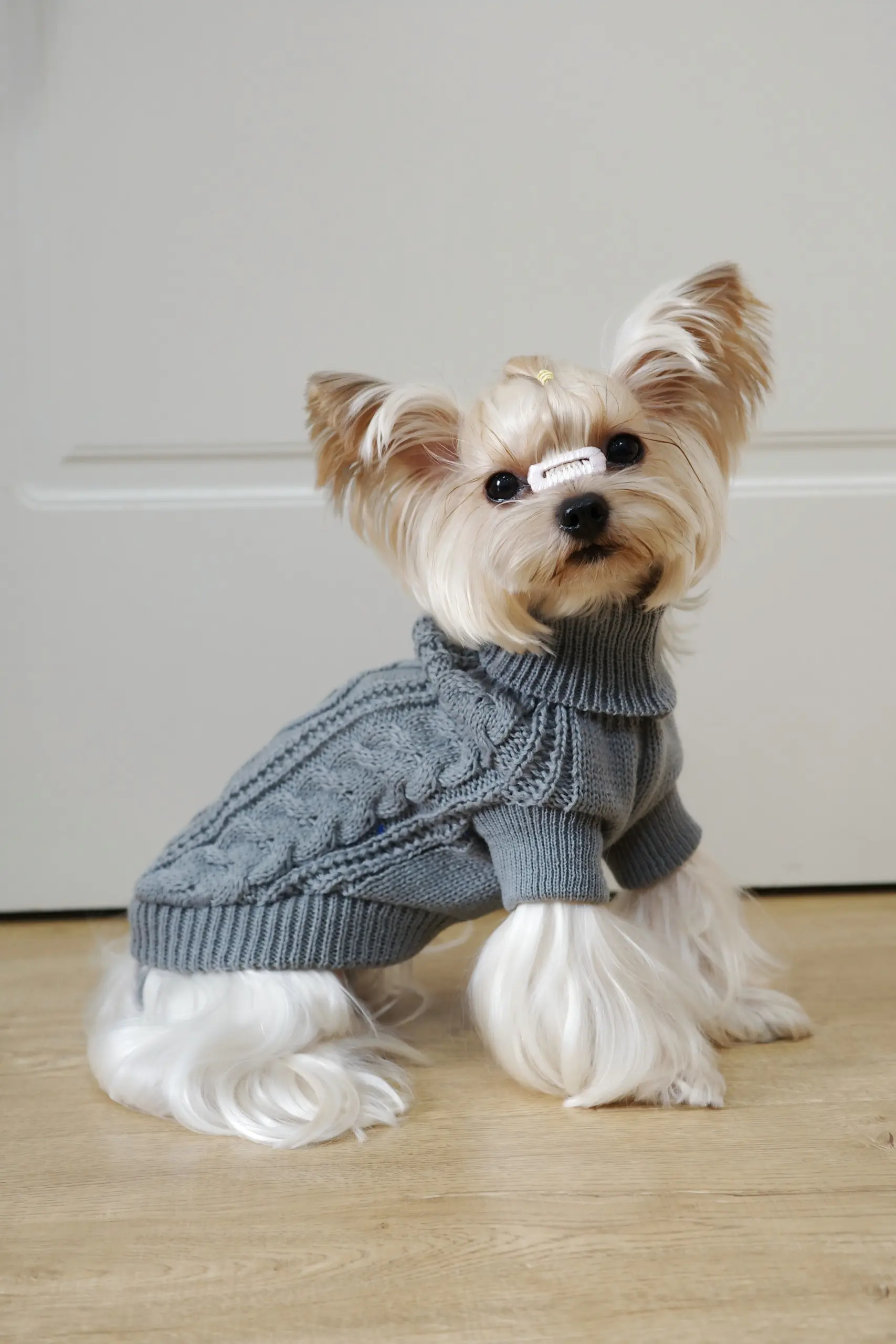 Dog Hooded Sweater for Warmth & Everyday Wear, Knit Pullover with Twisted Flower Detail – description image 6