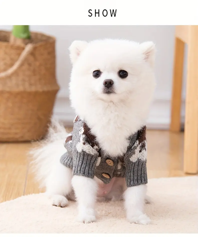 Bear Print Knitted Cardigan for Pets for Warmth in Cooler Weather – description image 3