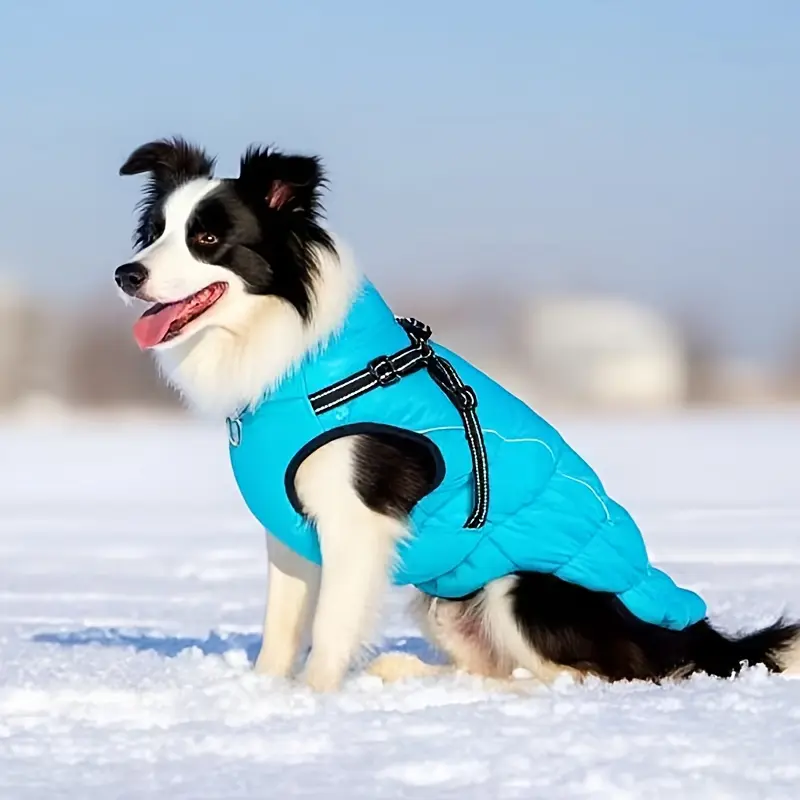 Winter Dog Coat with Harness Vest for Walking & Outdoor Use, Reflective Padded Design – description image 2