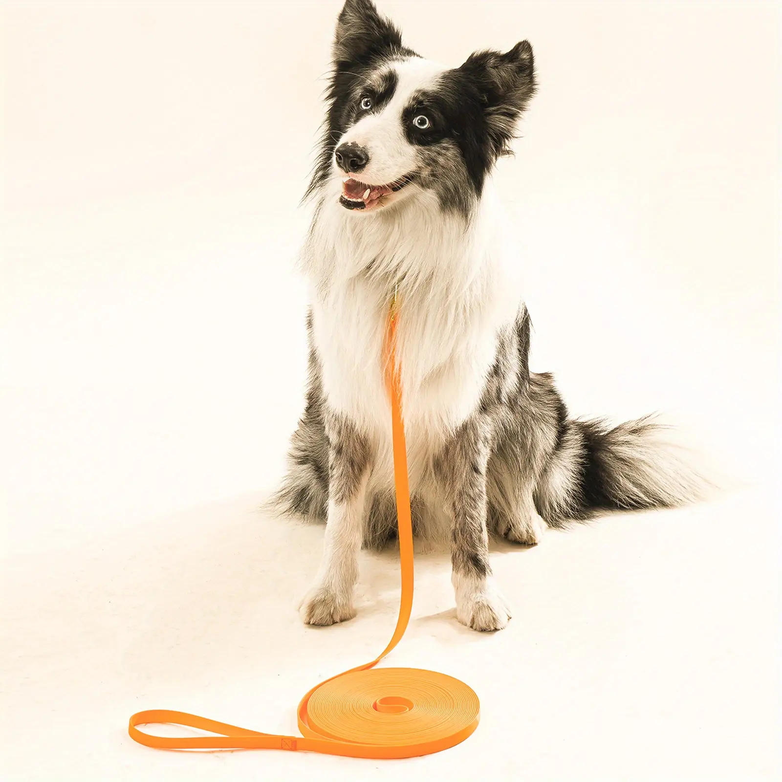 Waterproof Dog Leash for Training & Walking with Durable Long-Lead Design – description image 3