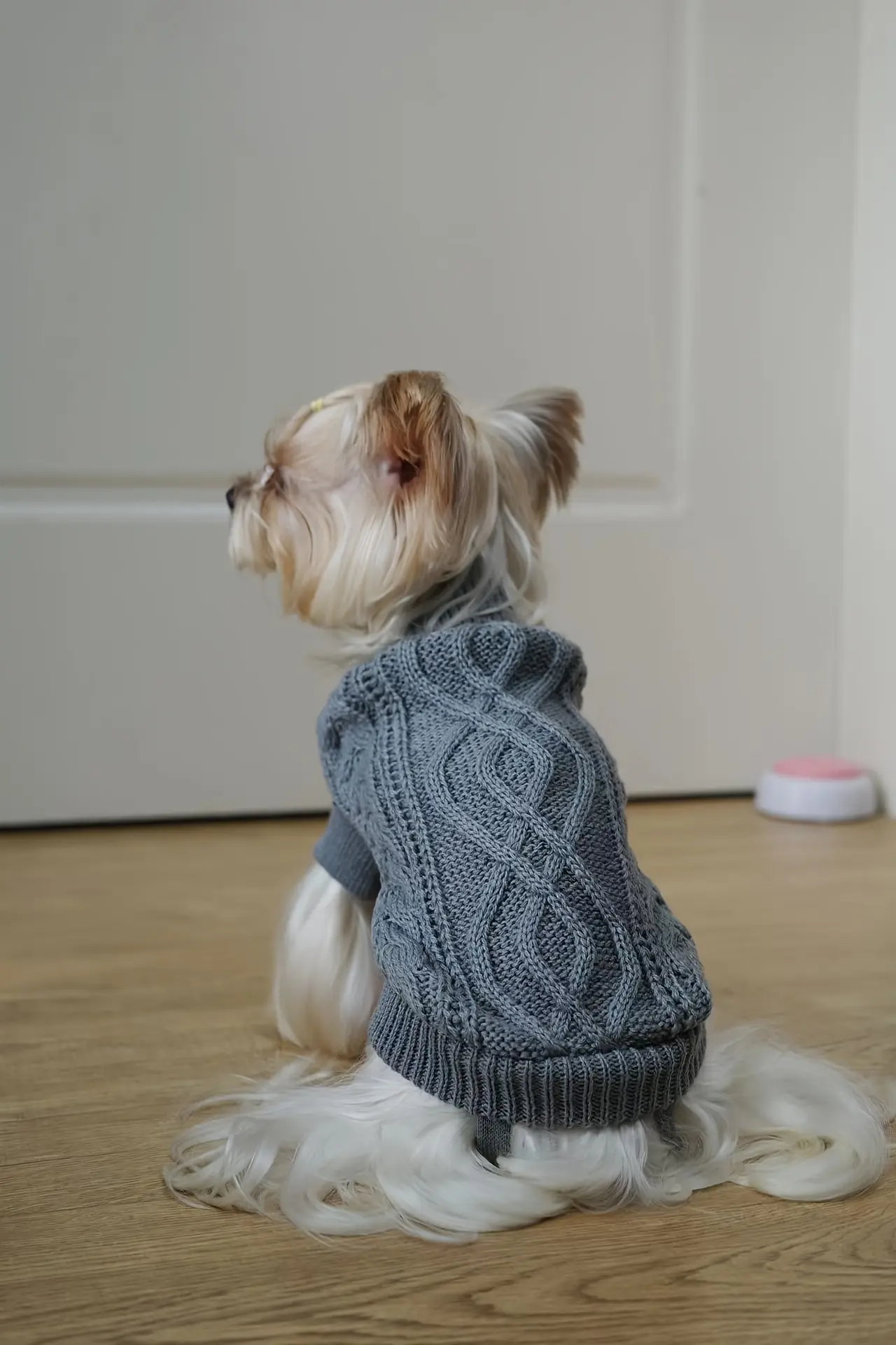 Dog Hooded Sweater for Warmth & Everyday Wear, Knit Pullover with Twisted Flower Detail – description image 4