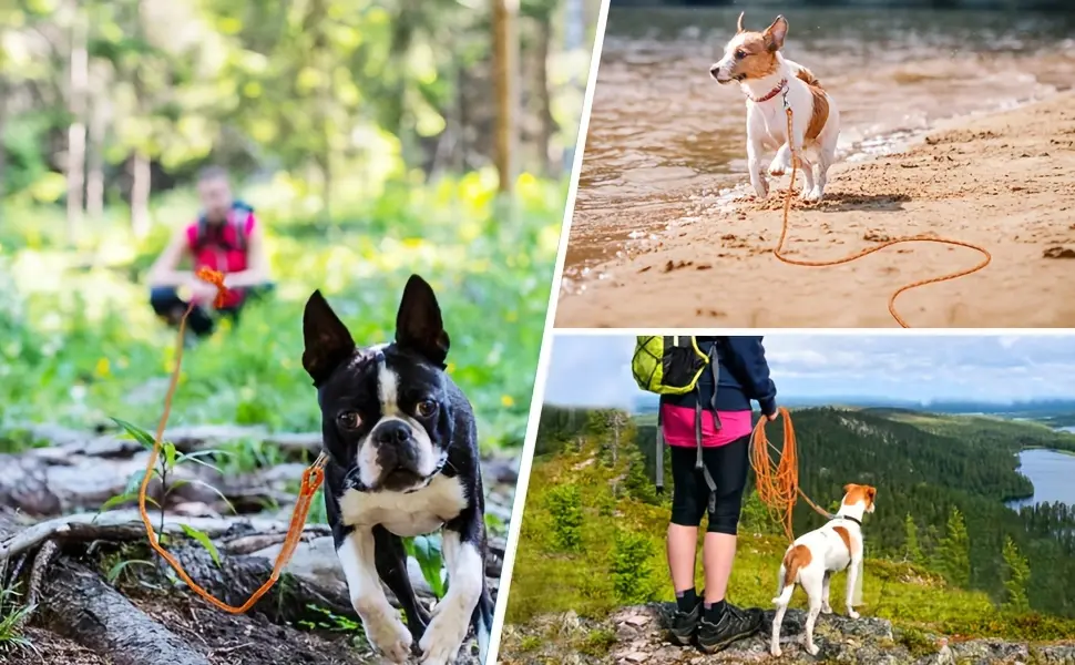 Reflective Long Dog Leash for Training and Walking, Multi-Size Fit – description image 2