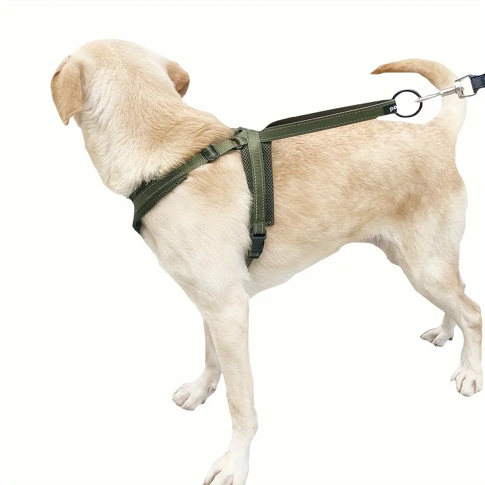 Adjustable No-Pull Dog Harness for Walking & Jogging with Reflective Accents and Control Handle – description image 1