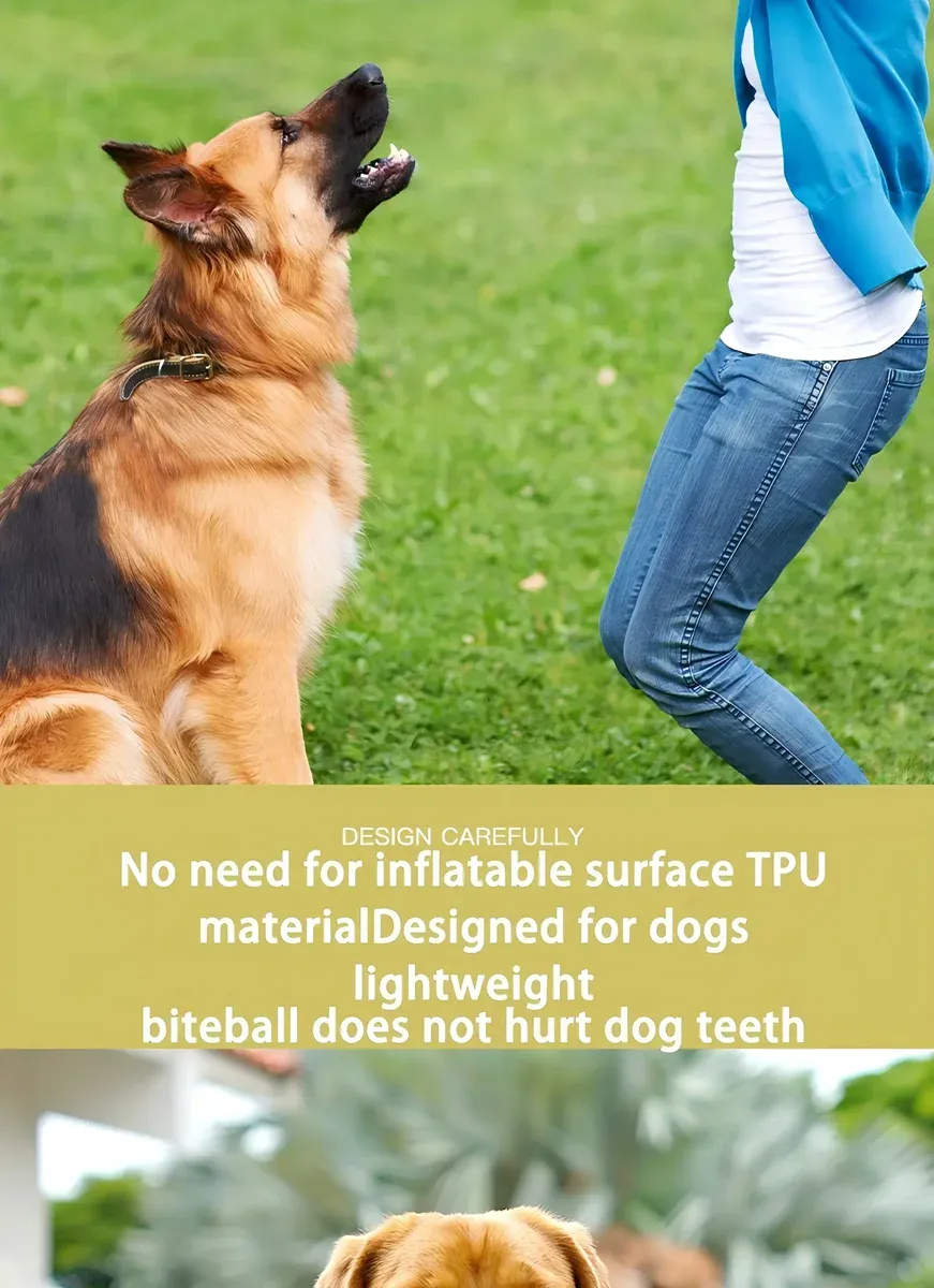 Chew-Resistant Bouncy Dog Toy for Fetch & Interactive Play – description image 6