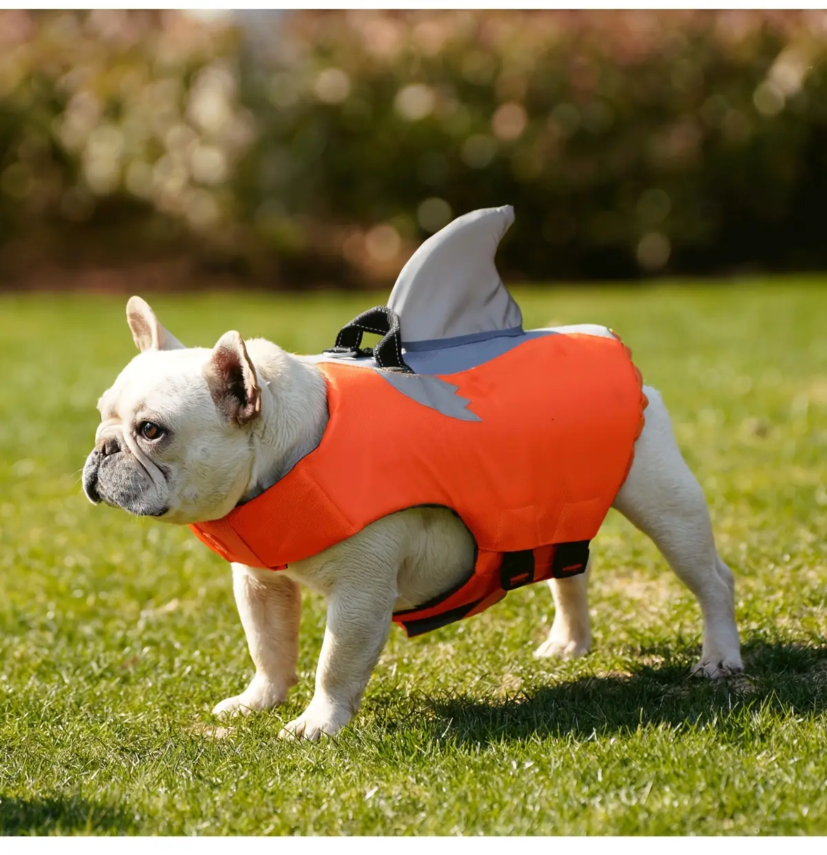 Reflective Shark Shape Pet Life Jacket for Water Safety & Visibility, Adjustable Fit – description image 9
