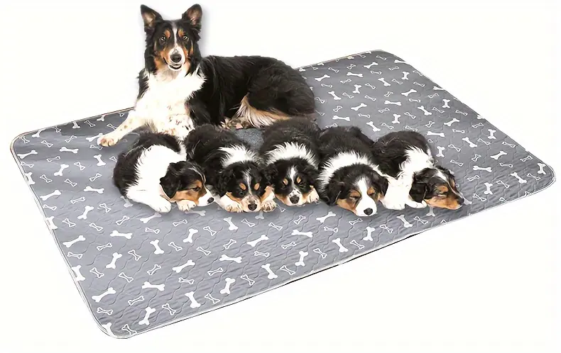 Washable Dog Pee Pad for Potty Training & Indoor Accidents with Leak-Resistant Backing – description image 6