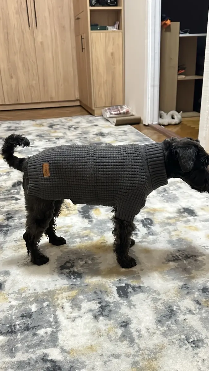 Pet Turtleneck Sweater for Warmth & Everyday Wear, Thick Knit Pullover – description image 4