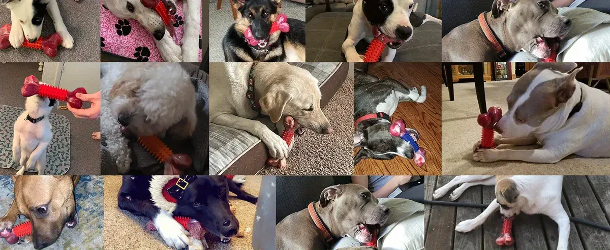 Dog Chew Toy for Chewing & Teething with Nylon and Rubber Construction – description image 2