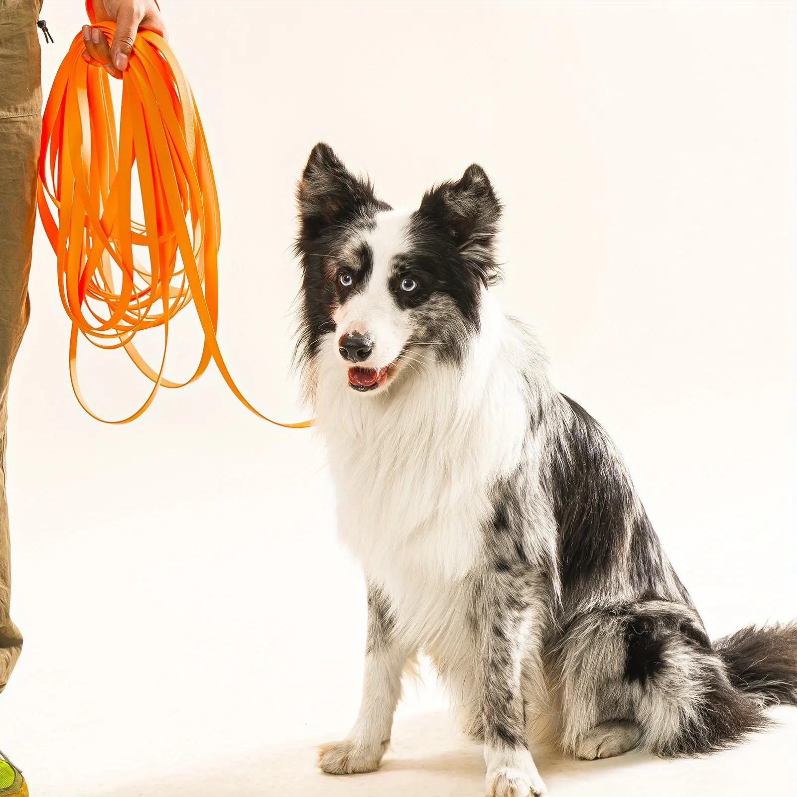 Waterproof Dog Leash for Training & Walking with Durable Long-Lead Design – description image 2
