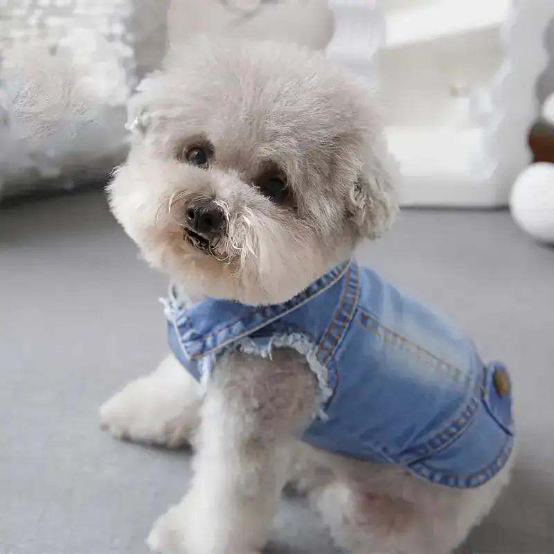 Vintage Imitation Denim Sleeveless Pet Vest for Spring and Autumn Wear – description image 1