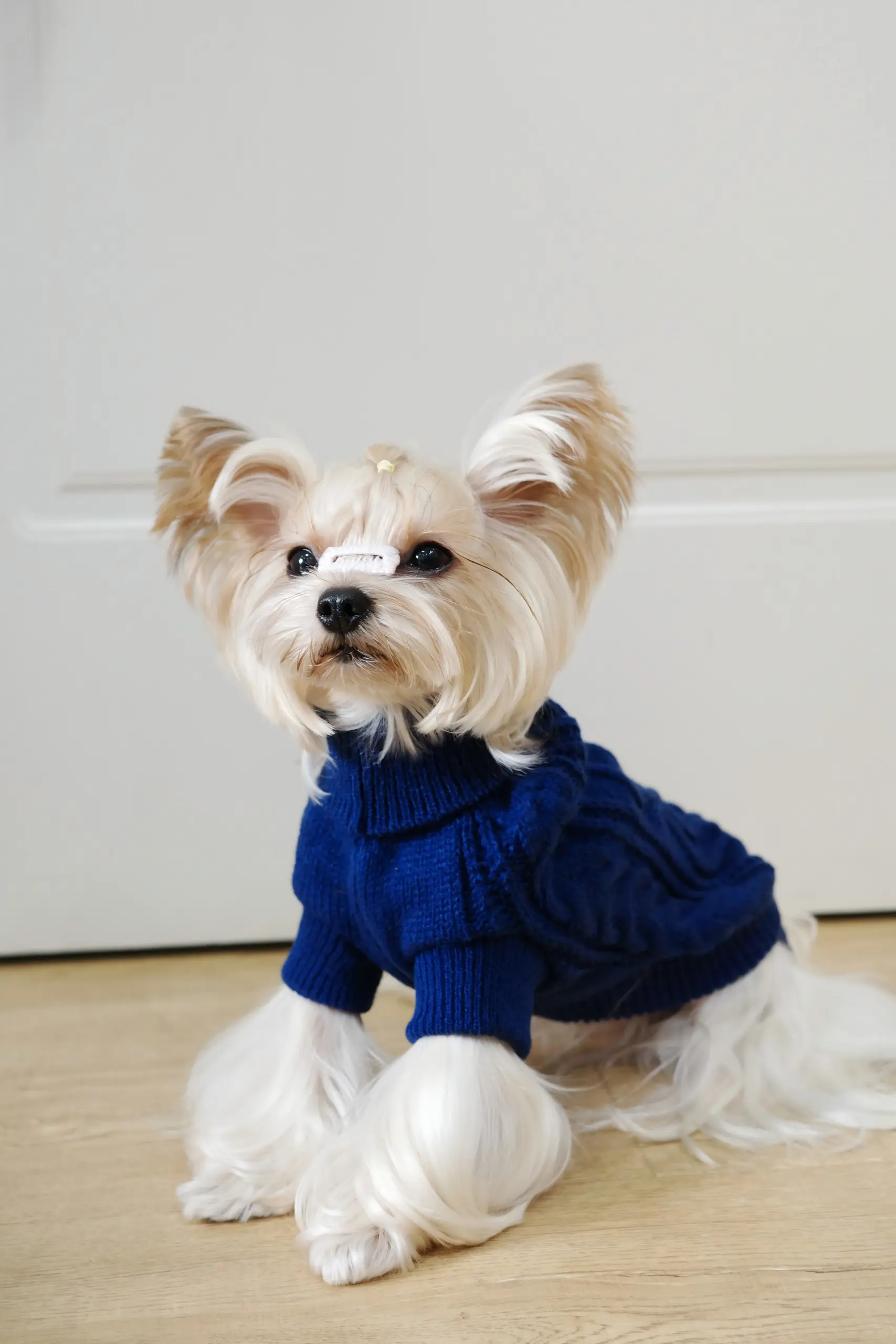 Dog Hooded Sweater for Warmth & Everyday Wear, Knit Pullover with Twisted Flower Detail – description image 9