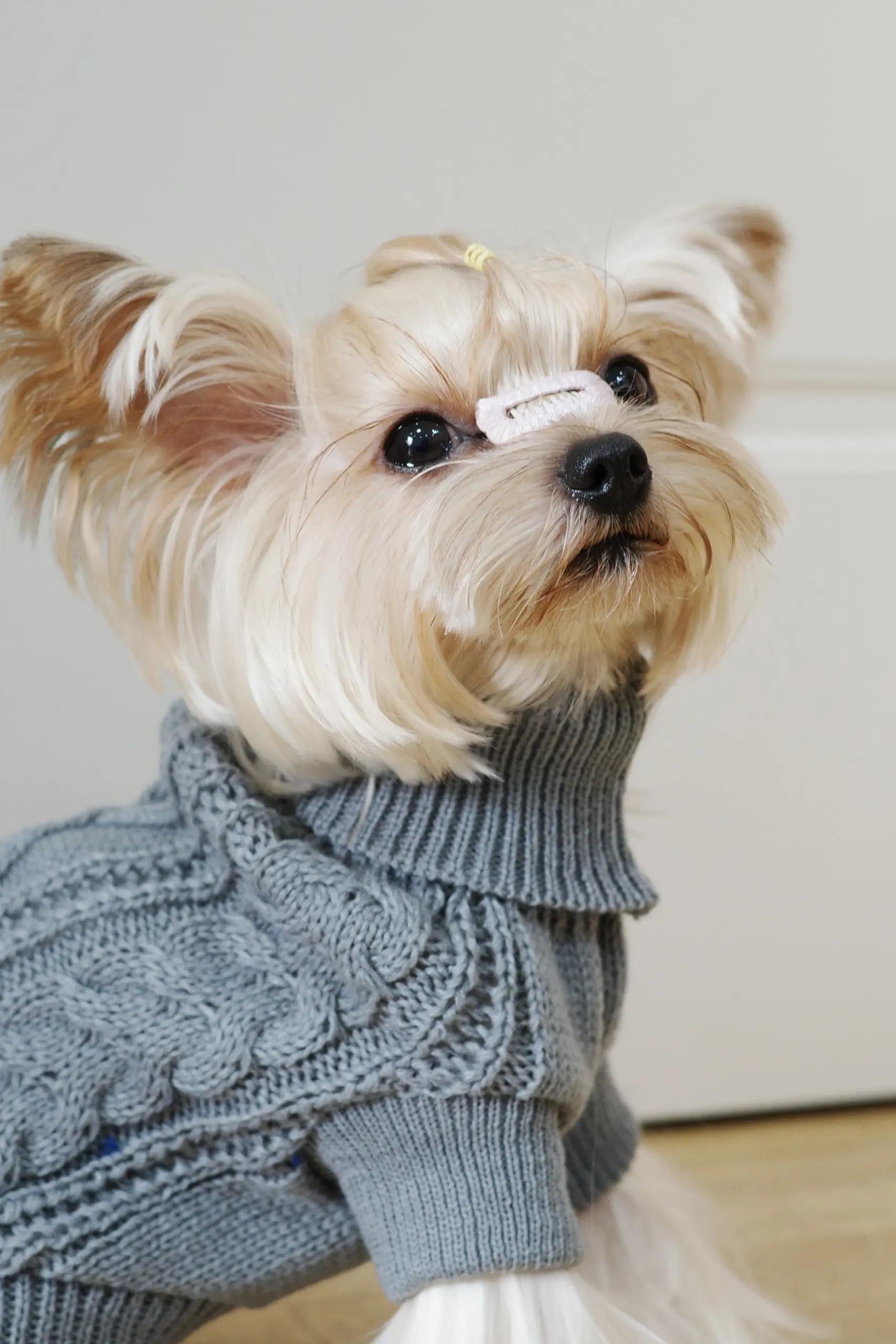 Dog Hooded Sweater for Warmth & Everyday Wear, Knit Pullover with Twisted Flower Detail – description image 5