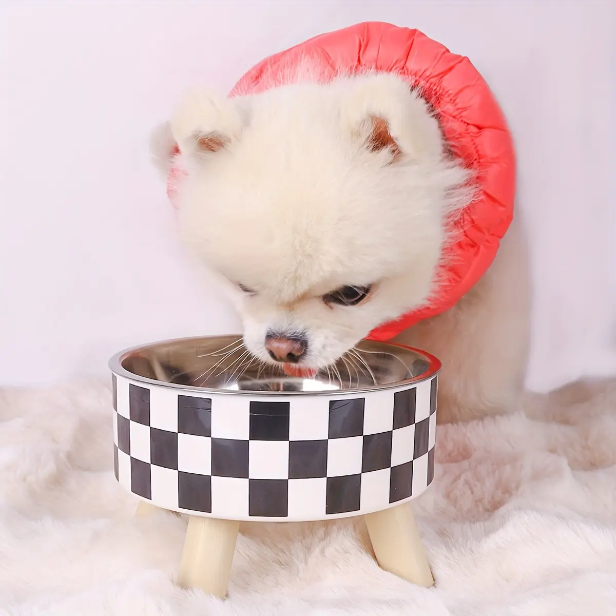 Stainless Steel Elevated Pet Bowl for Cat Feeding with Raised Stand and Patterned Exterior – description image 2