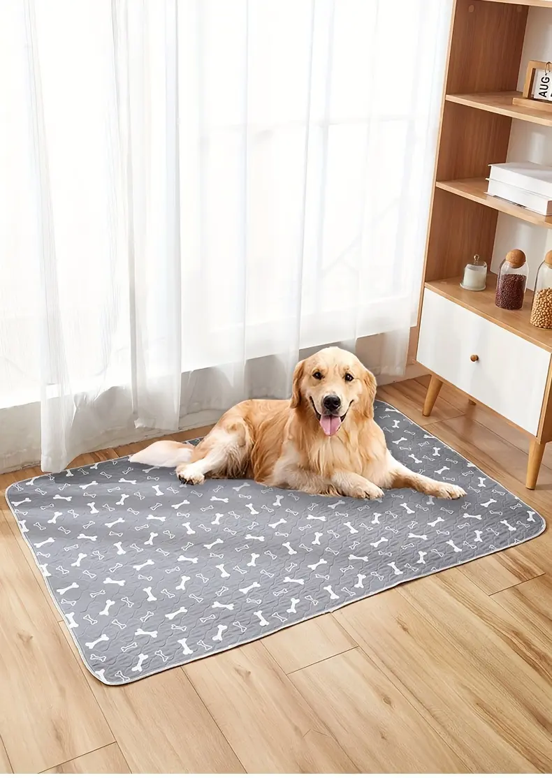Washable Dog Pee Pad for Potty Training & Indoor Accidents with Leak-Resistant Backing – description image 1