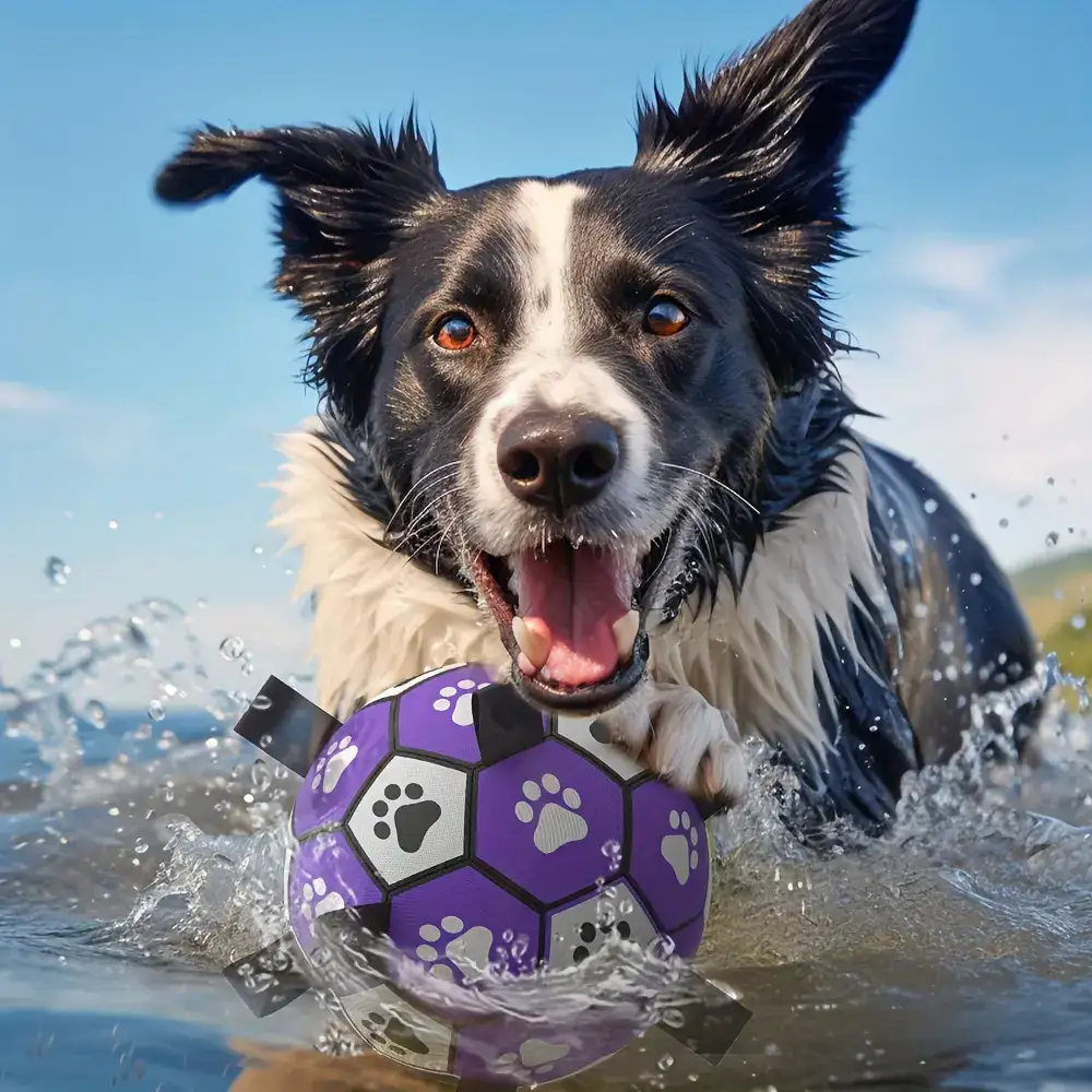 Durable Rubber Dog Soccer Ball with Straps for Interactive Play & Fetch – description image 6