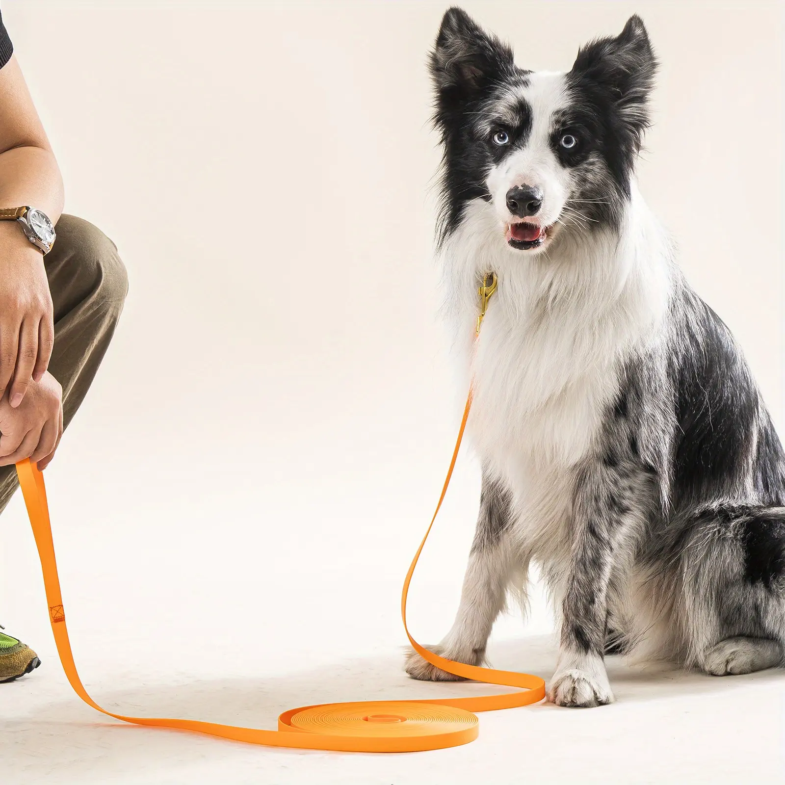 Waterproof Dog Leash for Training & Walking with Durable Long-Lead Design – description image 1