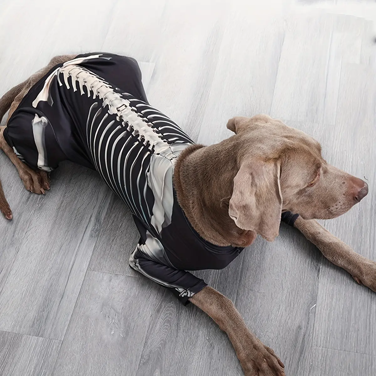Dog Cooling Suit for Warm-Weather Wear and Breathable Lightweight Fabric – description image 3