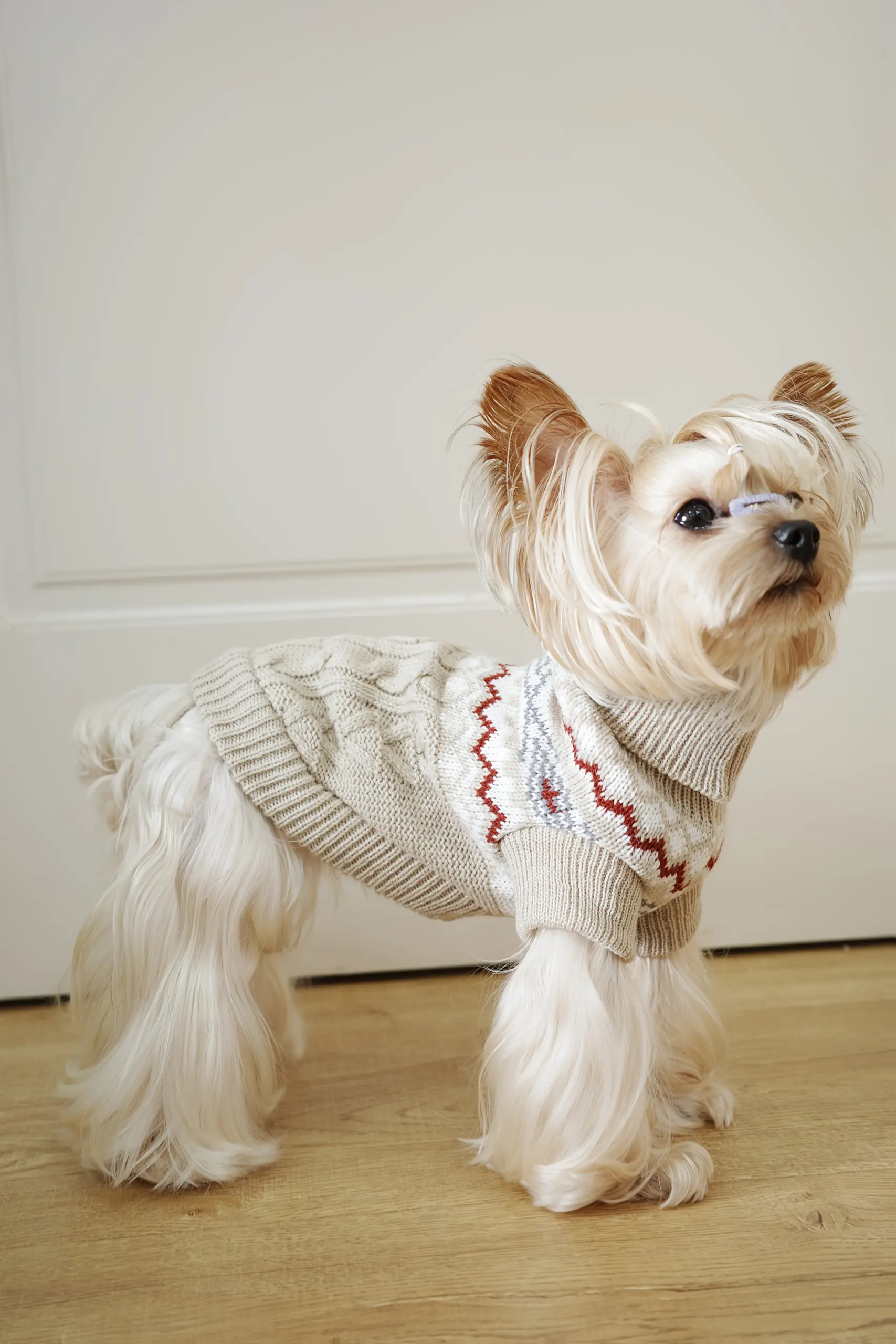 Pet Sweater for Dogs and Cats with High Neck, Pullover Style – description image 3