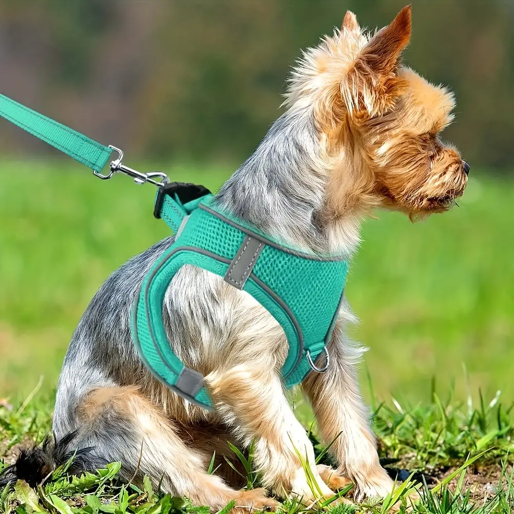 Soft Padded Dog Harness for Walking & Control with Breathable Mesh and Reflective Trim – description image 1