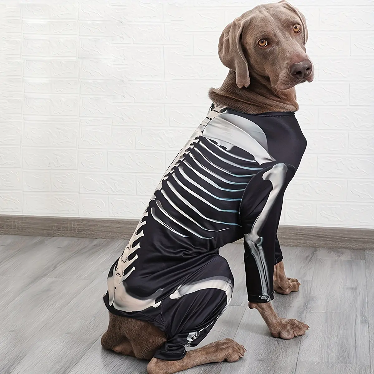 Dog Cooling Suit for Warm-Weather Wear and Breathable Lightweight Fabric – description image 2