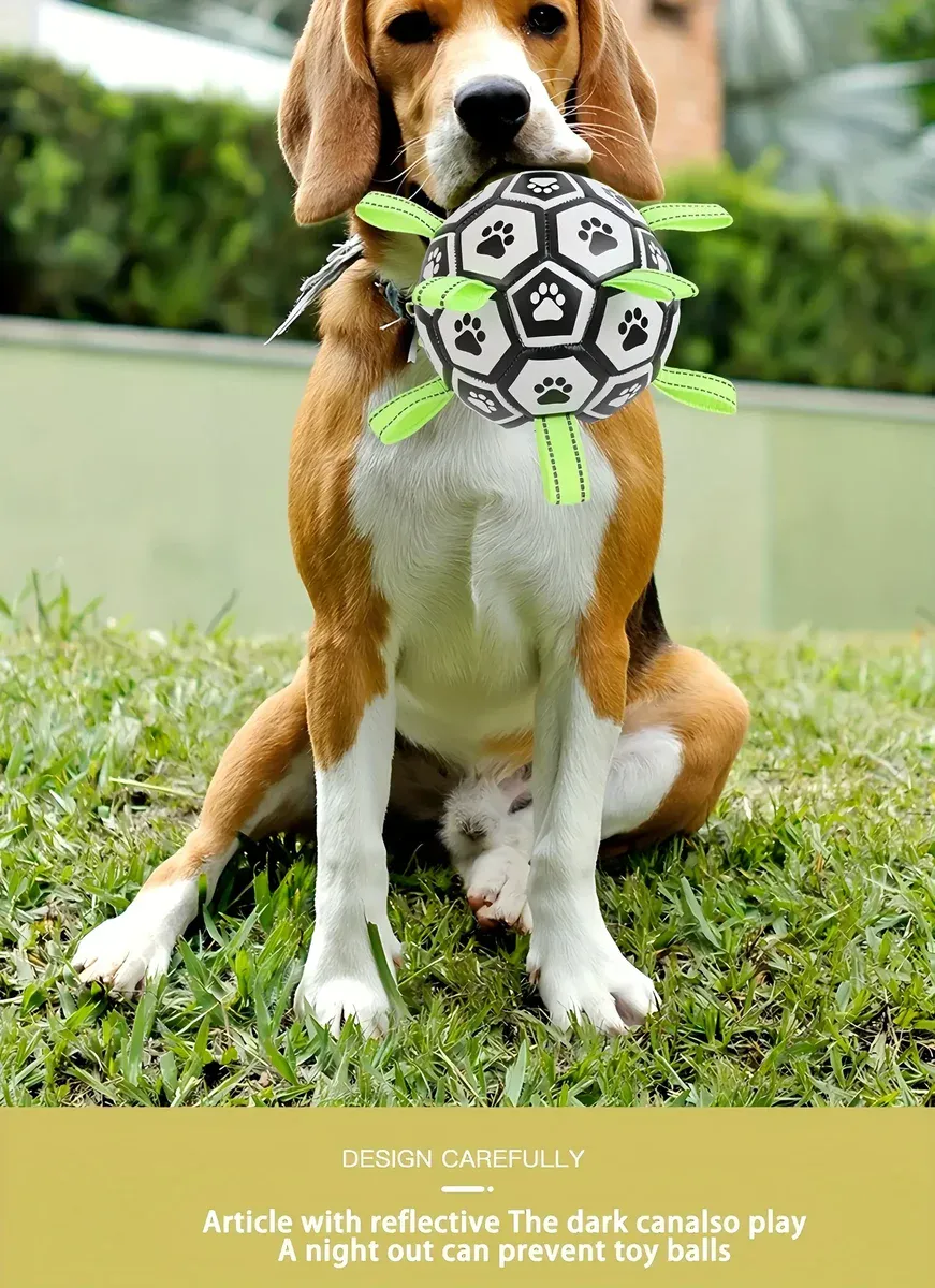 Chew-Resistant Bouncy Dog Toy for Fetch & Interactive Play – description image 7