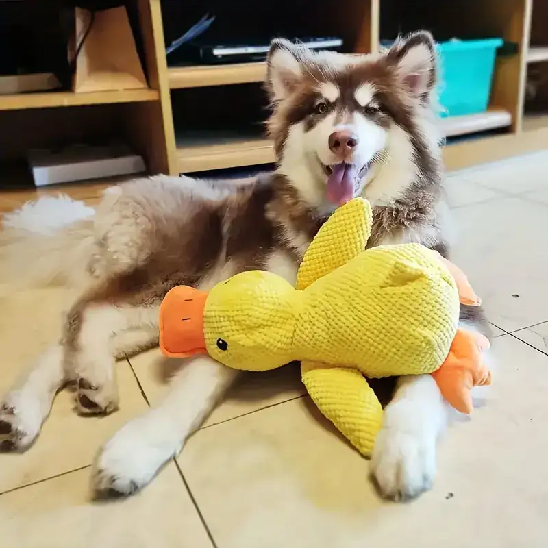 Large Plush Duck Dog Toy for Chewing & Interactive Play with Squeaker – description image 2