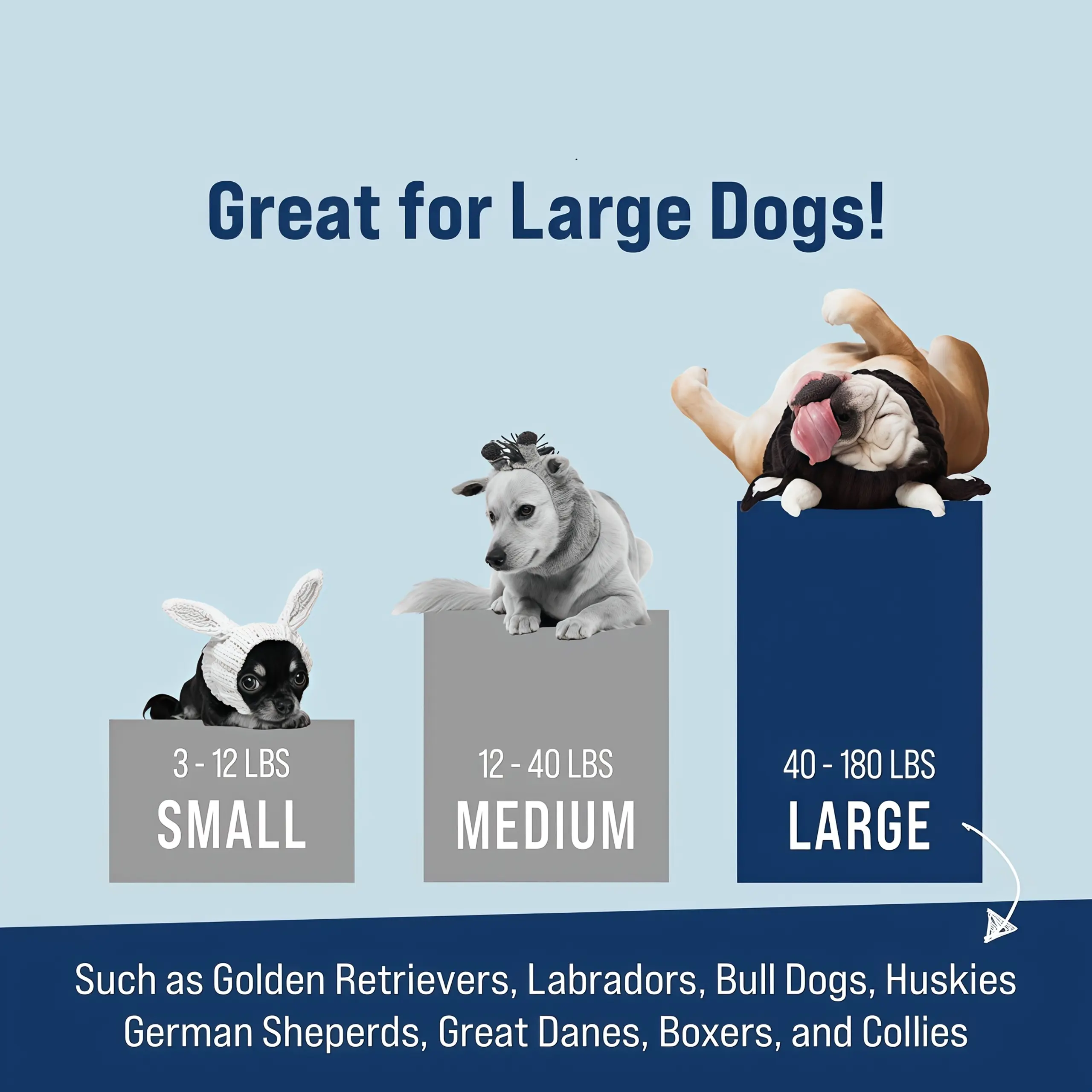 Knitted Pet Dog Hat for Wind Protection & Warmth, Green Elf Style – description image 2