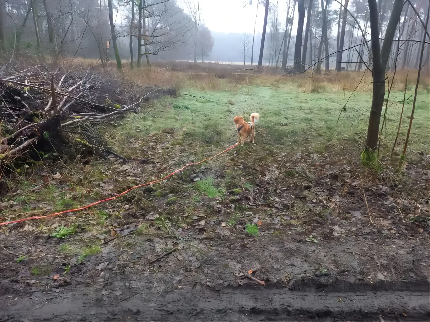 Waterproof Dog Leash for Recall Training and Outdoor Control, Easy-Clean Wear-Resistant Design – description image 2