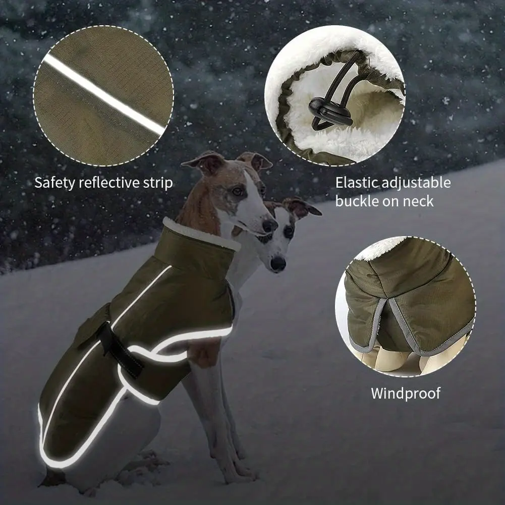 Warm Windproof Dog Jacket for Cold-Weather Wear, Fleece-Lined High Collar – description image 1