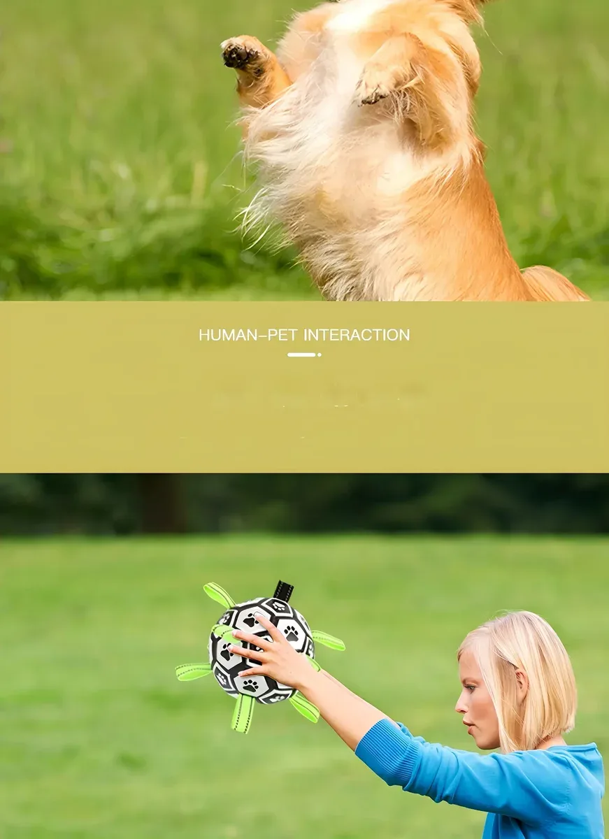 Chew-Resistant Bouncy Dog Toy for Fetch & Interactive Play – description image 5