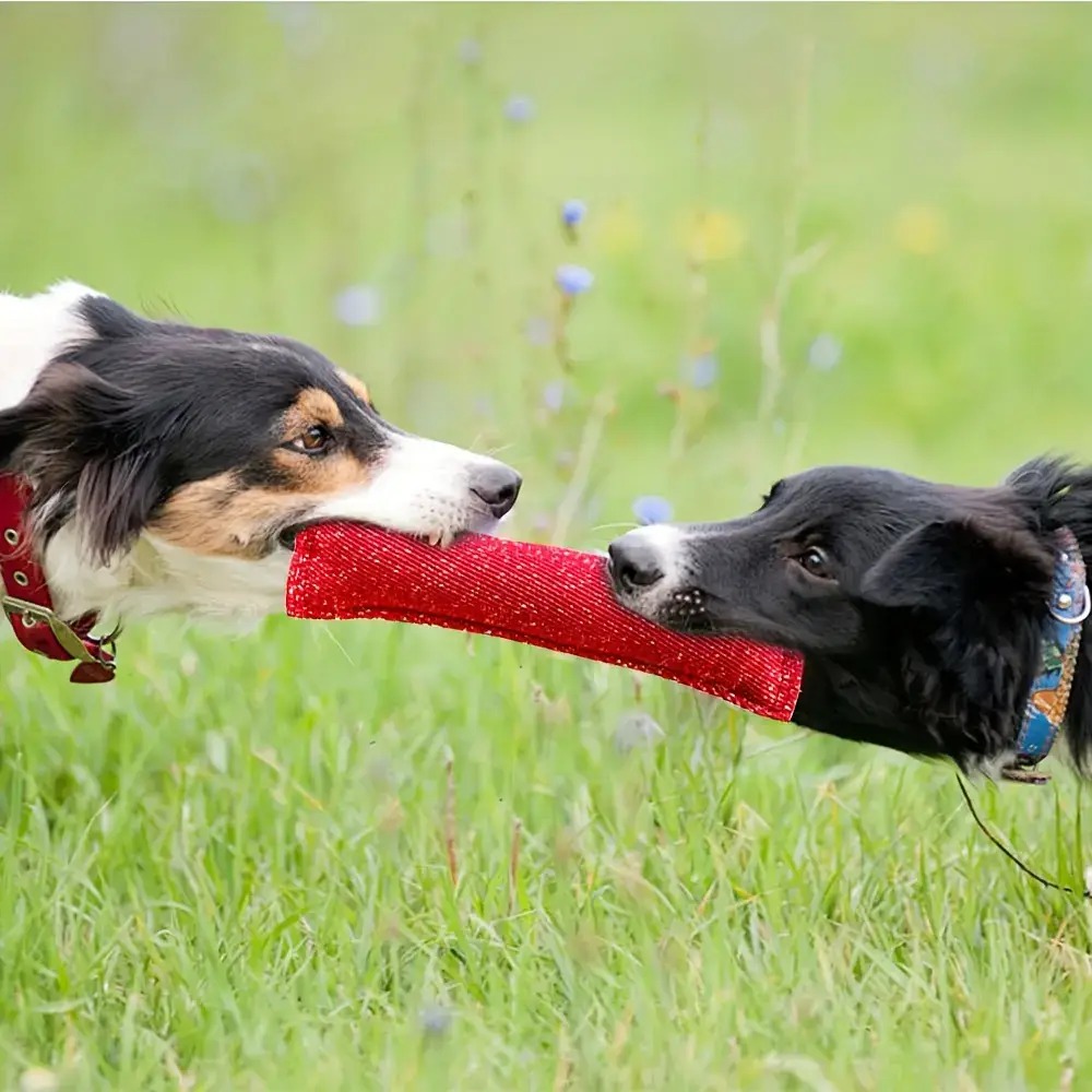 Durable Dog Bite Stick for Chewing & Tug Play with Dual Handles – description image 2