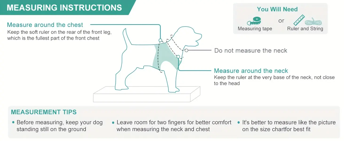 Soft Padded Dog Harness for Walking & Control with Breathable Mesh and Reflective Trim – description image 3