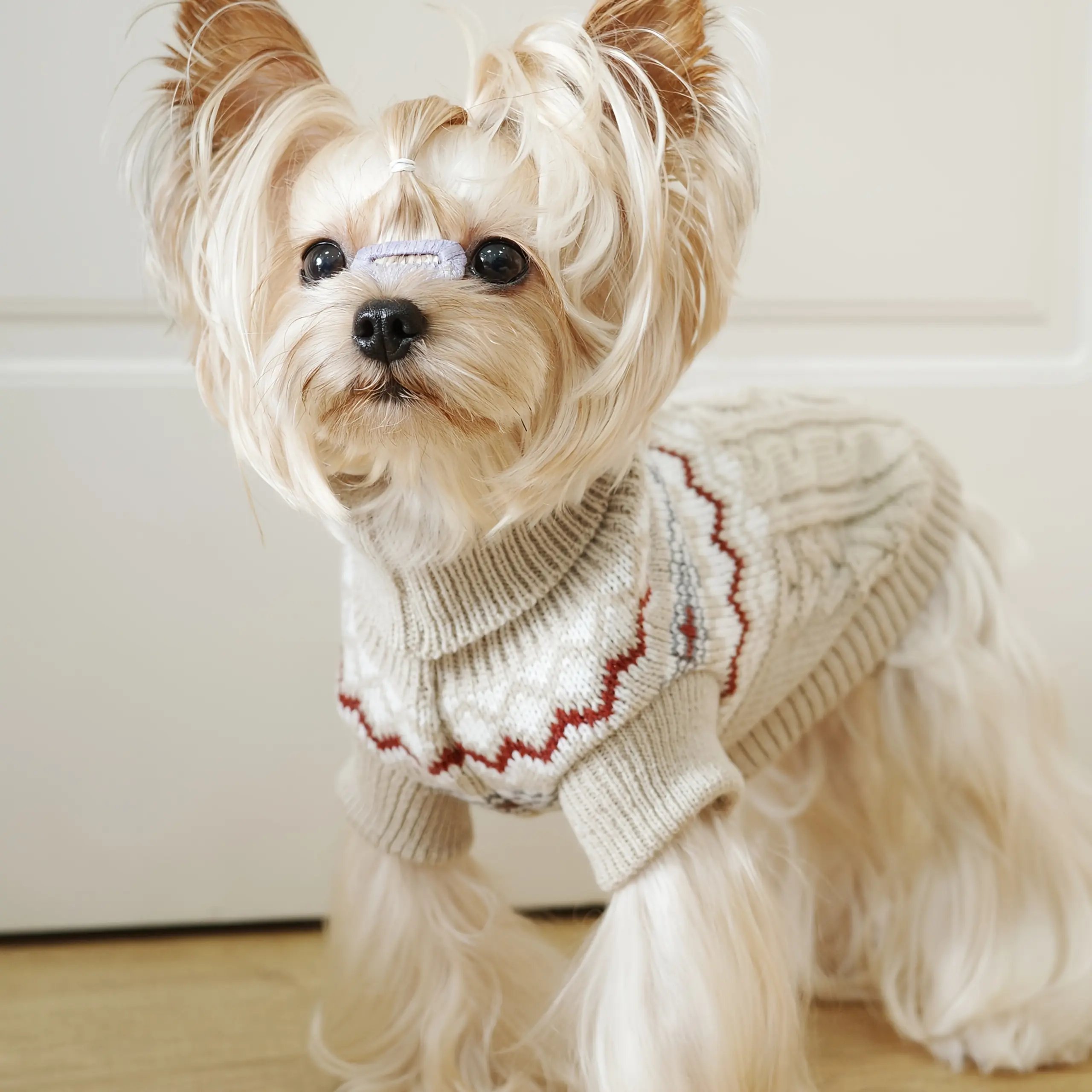 Pet Sweater for Dogs and Cats with High Neck, Pullover Style – description image 5