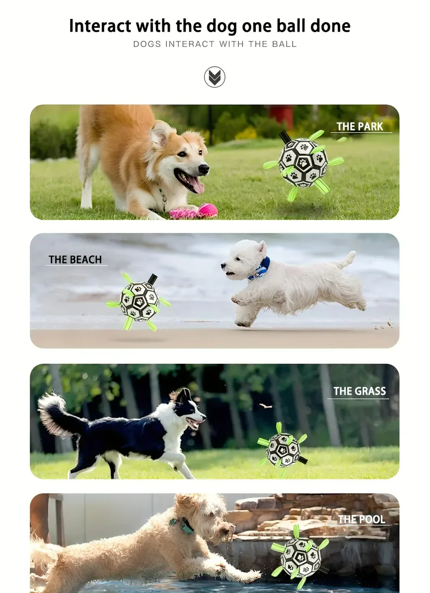 Chew-Resistant Bouncy Dog Toy for Fetch & Interactive Play – description image 3