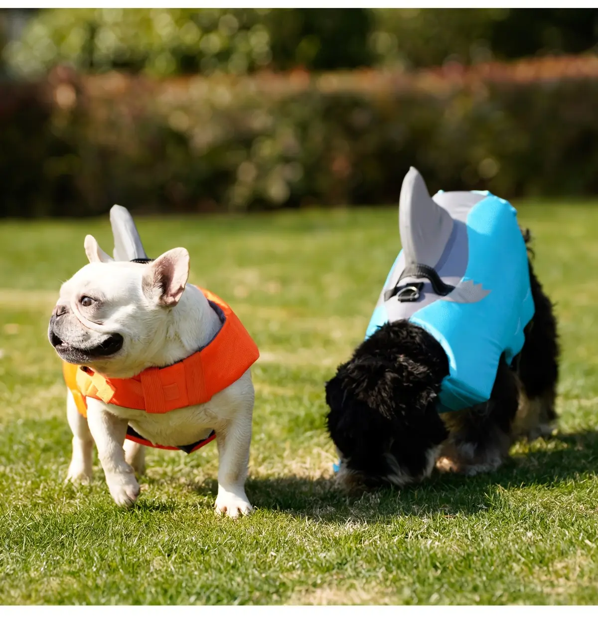 Reflective Shark Shape Pet Life Jacket for Water Safety & Visibility, Adjustable Fit – description image 7