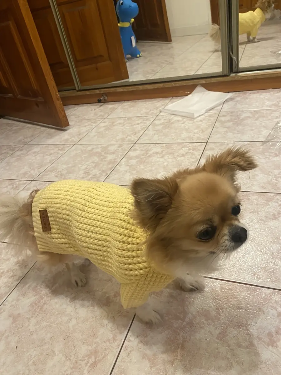 Pet Turtleneck Sweater for Warmth & Everyday Wear, Thick Knit Pullover – description image 6