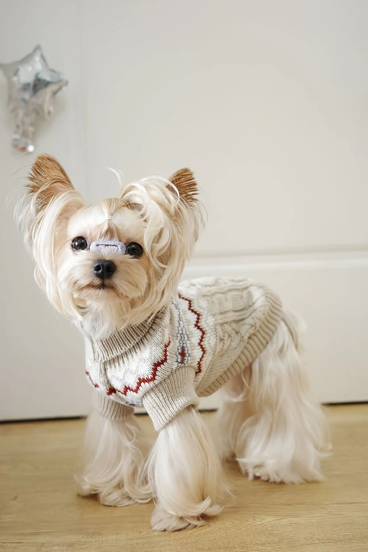 Pet Sweater for Dogs and Cats with High Neck, Pullover Style – description image 1