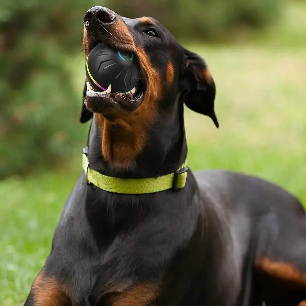 Interactive Rolling Dog Ball Toy for Self-Directed Play with Light-Up Design – description image 1